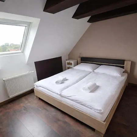 Apartament Bojnicky Vinny Dom